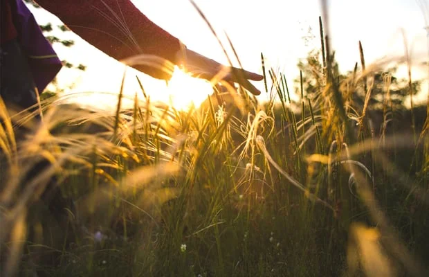 Approach to Mental Health Approach to Mental Health